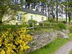 Lilac Cottage