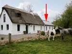 Riverbank Farm