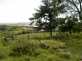 Kilmore House