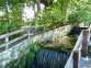The Millrace