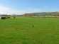 Slieve Mish View