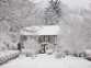 Daisy Cottage