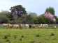 Rockfield House