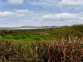 Cill Maolceadair Cottage