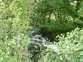 Brookside