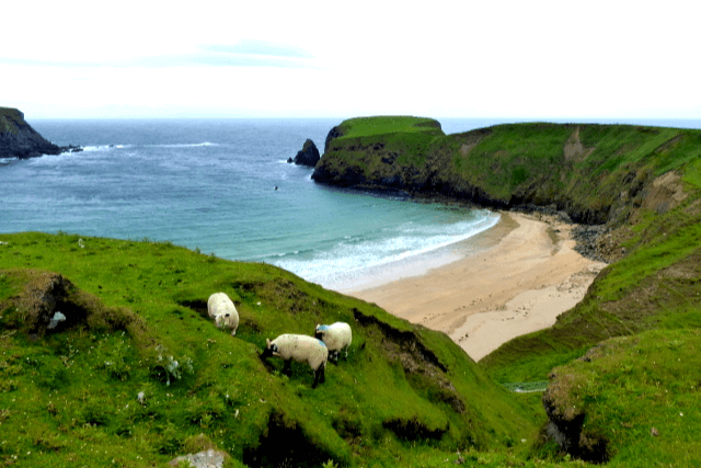 Silver Strand Beach