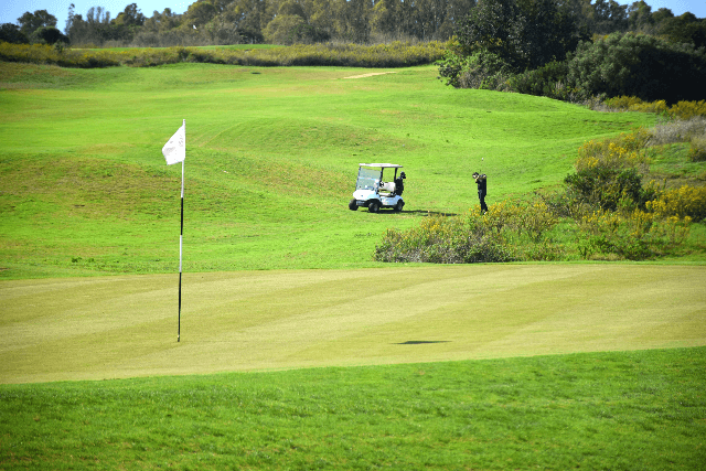 The Island Golf Course