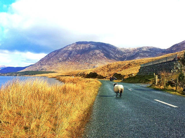 Connemara in Galway