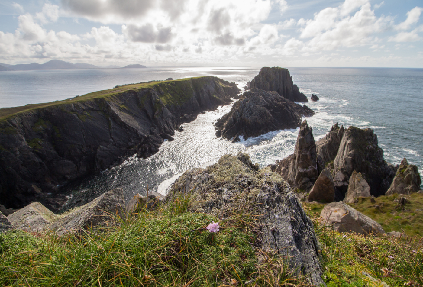 A View of the Sea from the Wild Atlantic Way