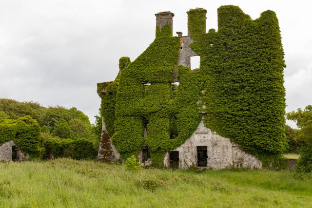 menlo castle covered in ivy